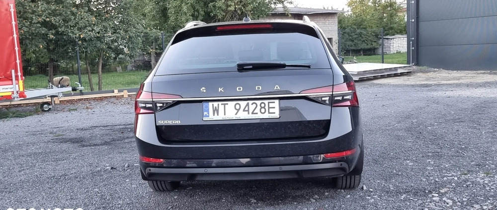 Skoda Superb cena 147600 przebieg: 49000, rok produkcji 2021 z Nowogród małe 667